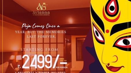 Festival Offer