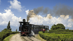 A view of a train travelling on a track with smoke coming out of the top and greenery surrounding the train, symbolising the Ooty toy train.
