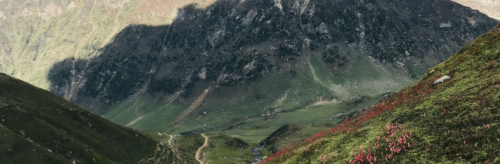 khizer-hayat-M-MurM4SO1A-unsplash