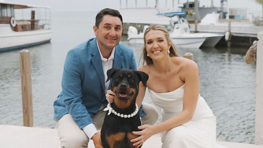 Bride and groom sitting on a dock with their dog, with boats and palm trees in the background.