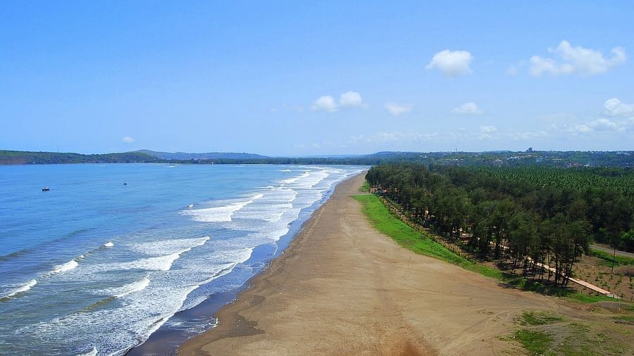Landscape Kohinoor Samudra Ratnagiri 10
