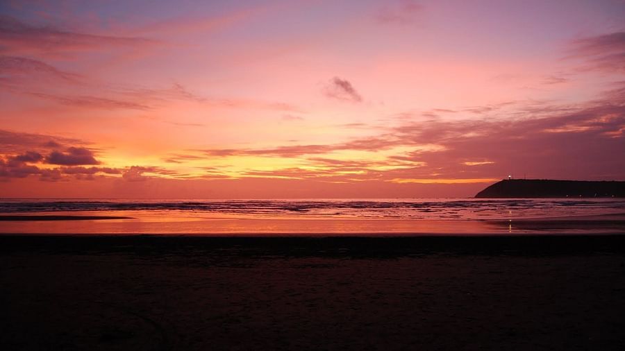 Landscape Kohinoor Samudra Ratnagiri 19
