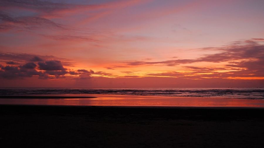 Landscape Kohinoor Samudra Ratnagiri 21