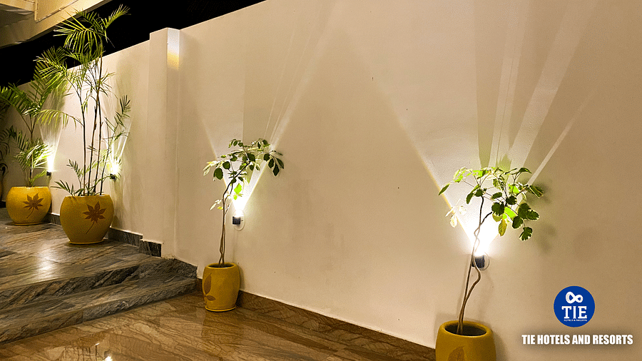 Terrace (3)