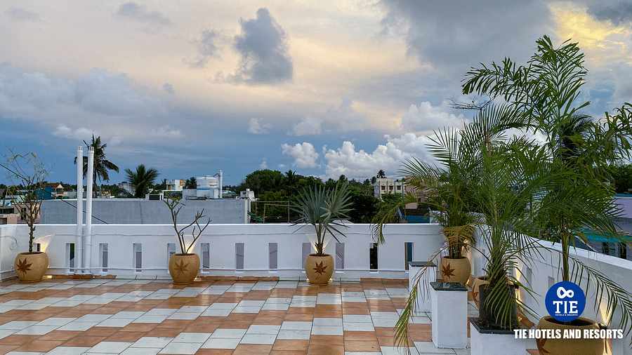 Terrace (2)