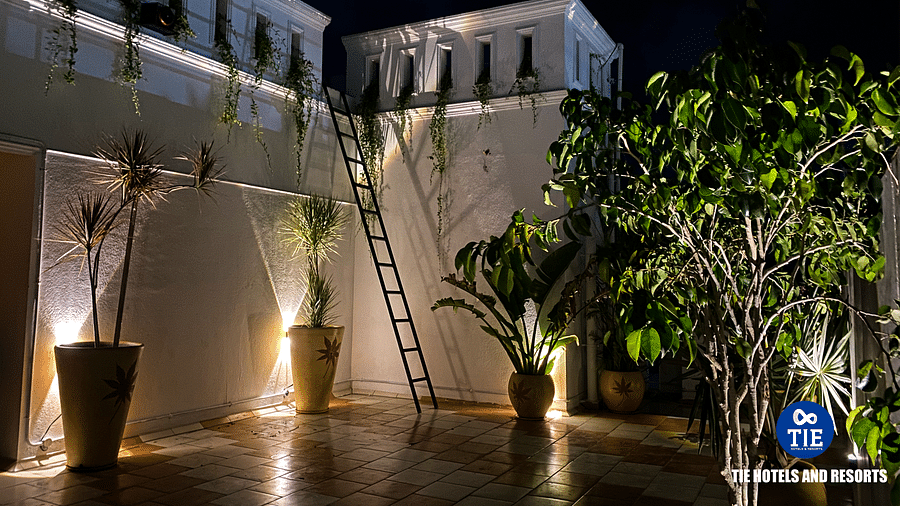 Terrace (3)