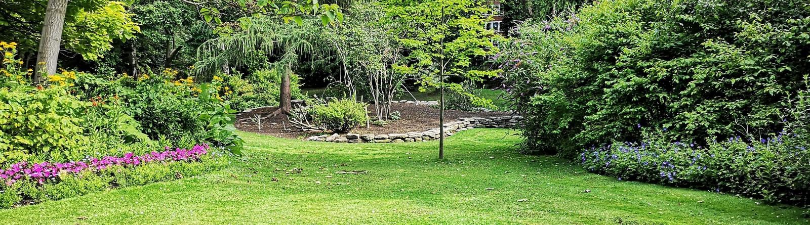 A lush green lawn surrounded by dense trees and flowering plants.