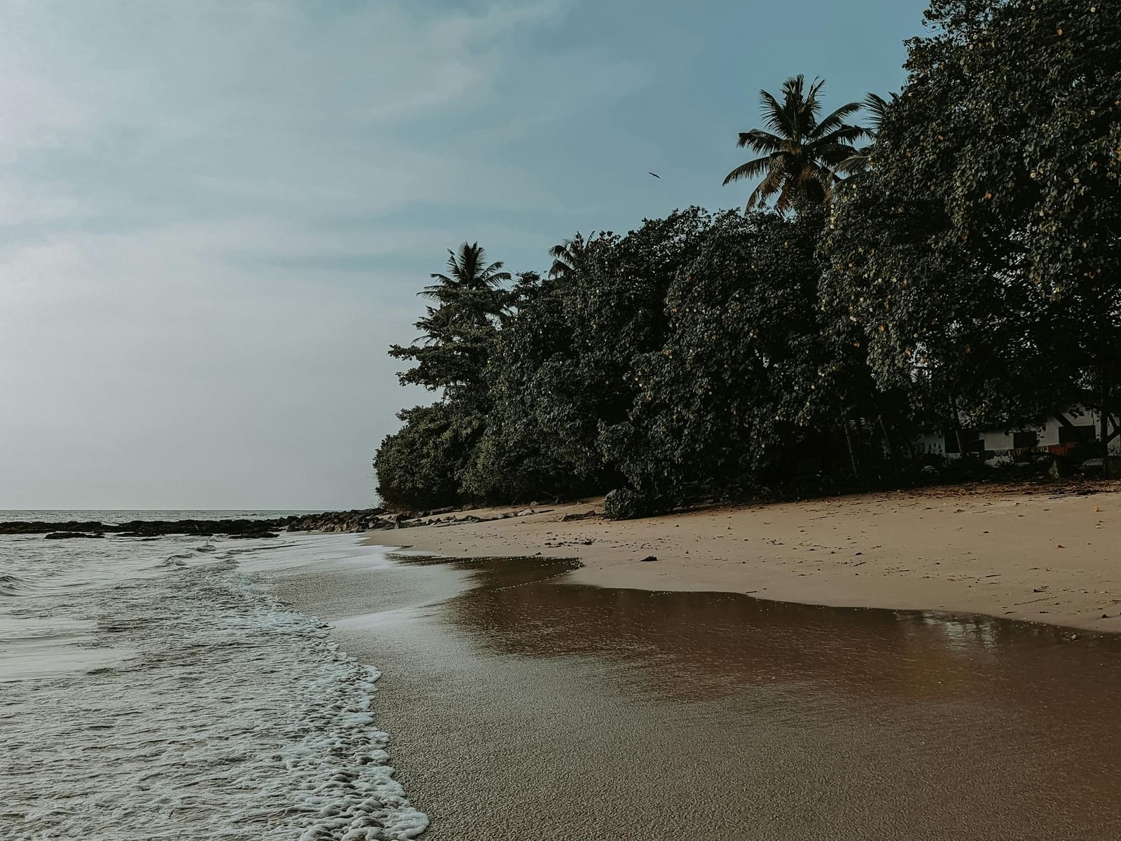 A sandy beach that's one of the best places to visit in Kakinada, with ocean waves on the left and dense trees on the right under a clear sky.
