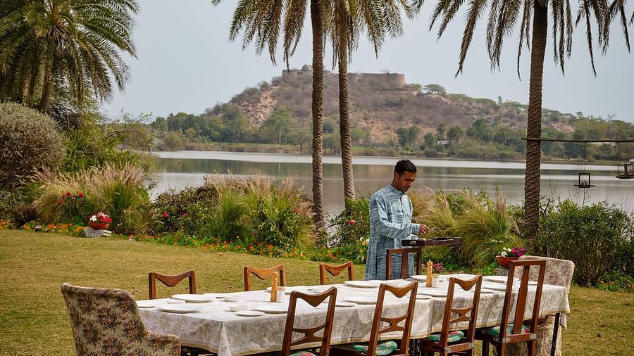image of the outdoor dining area with tall palm trees in the background at dev shree deogarh