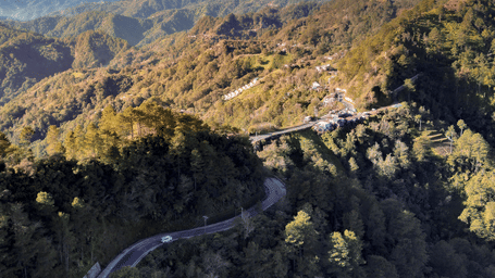 road weaving through a dense forest landscape.