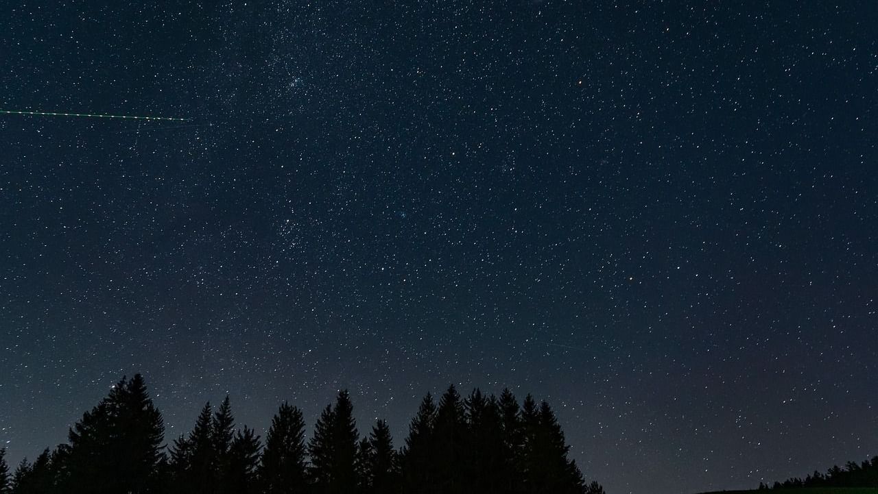 a night sky with clear stars all across with a silhouette of tall trees in the forground