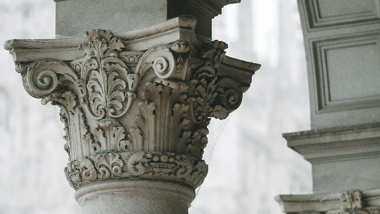 pexels-maria-orlova-4916671