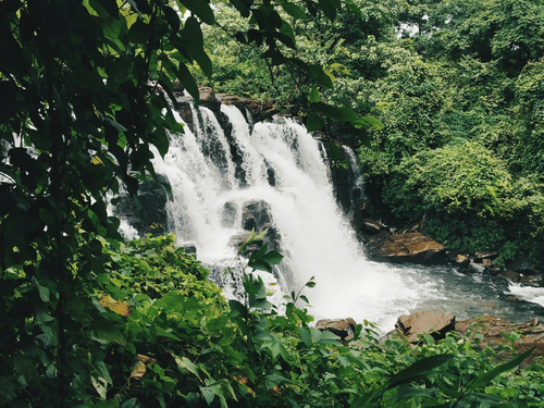 A waterfall cascading down the rocky surface, surrounded by greenery