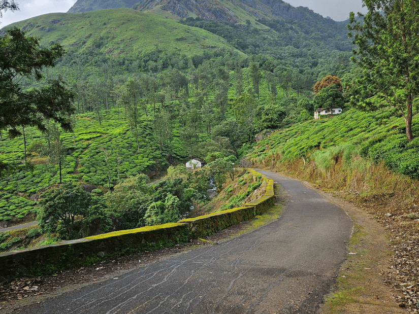 A winding mountain road passing through rolling hills, verdant plantations, and mist-covered landscapes.