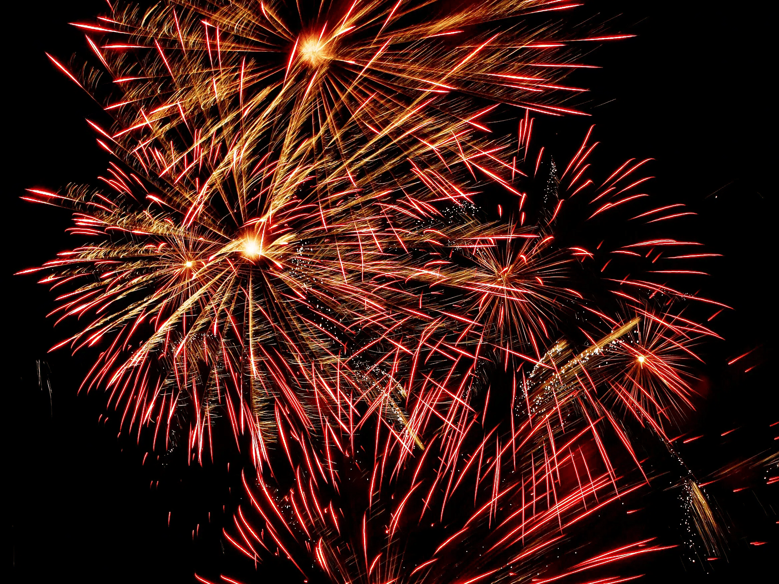Red and gold fireworks bursting in the night sky