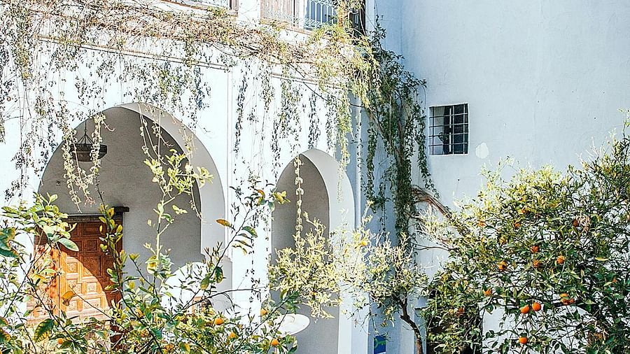 Facade of the building with trees in the foreground.