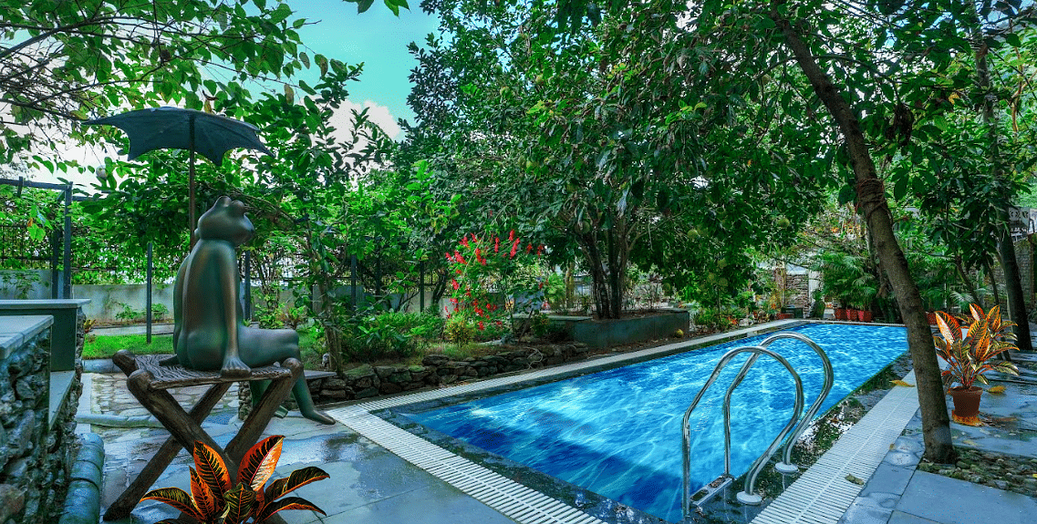 swimmimg pool bougainvillea
