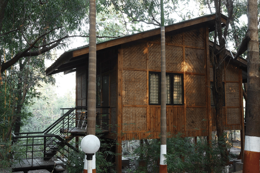 Exterior of a tree house at Nature Trails Sajan with trees surrounding it and stairs leading up to its entrance.