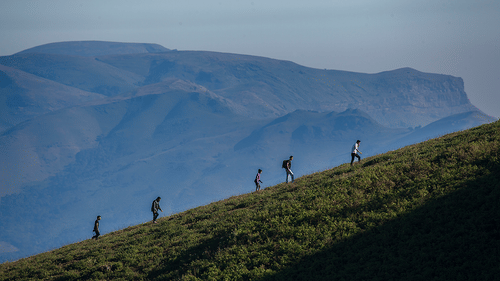 people climbing up a hill