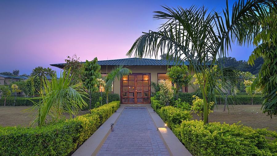 A paved walkway leads to a wooden double-door entrance, surrounded by lush greenery and warm lighting. The villa has a green sloped roof and large windows, set against a twilight sky - Singhvilas, Ranthambore
