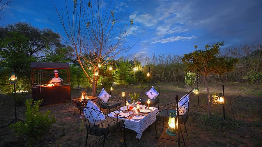 Private outdoor dining setup in a natural garden with cushioned chairs around a table adorned with lanterns and a live barbecue station, set against a serene twilight sky - Singhvilas, Ranthambore