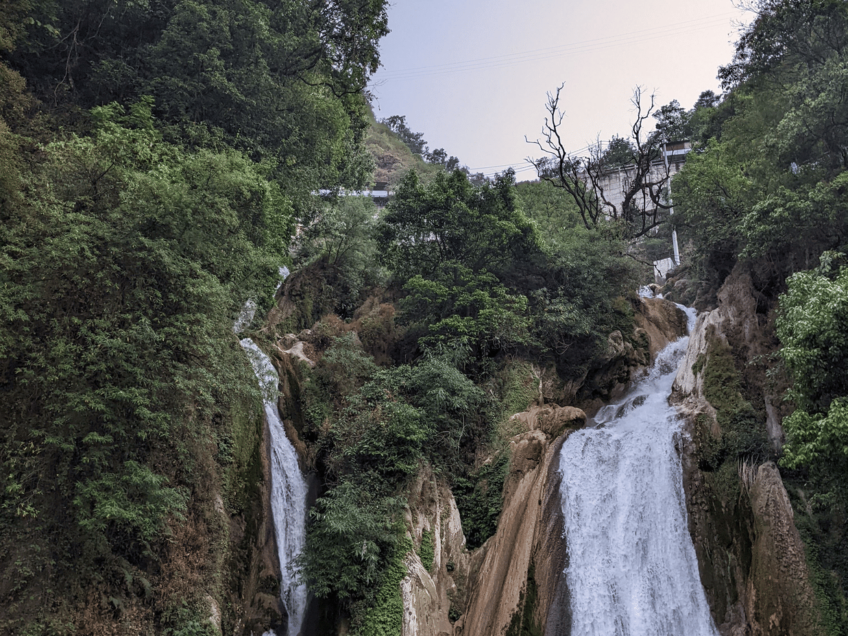 Vertical view of cascading waterfalls surrounded by dense greenery in a serene forest.