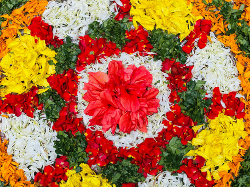 Colourful floral pookalam arrangement created with fresh petals in intricate circular patterns, celebrating the spirit and traditions of Onam