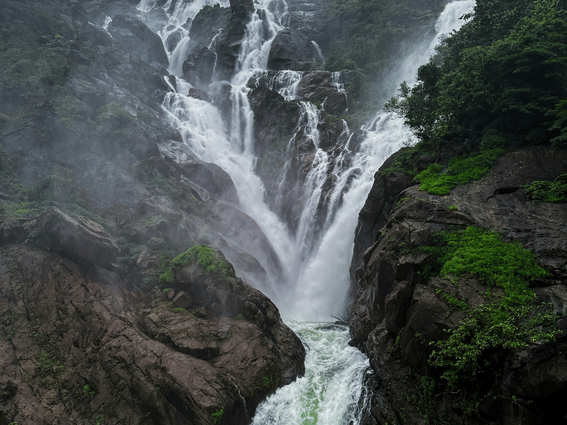 The Dudhsagar Waterfall cascading down a steep, rocky cliff surrounded by dense, vibrant green tropical foliage in the rain.