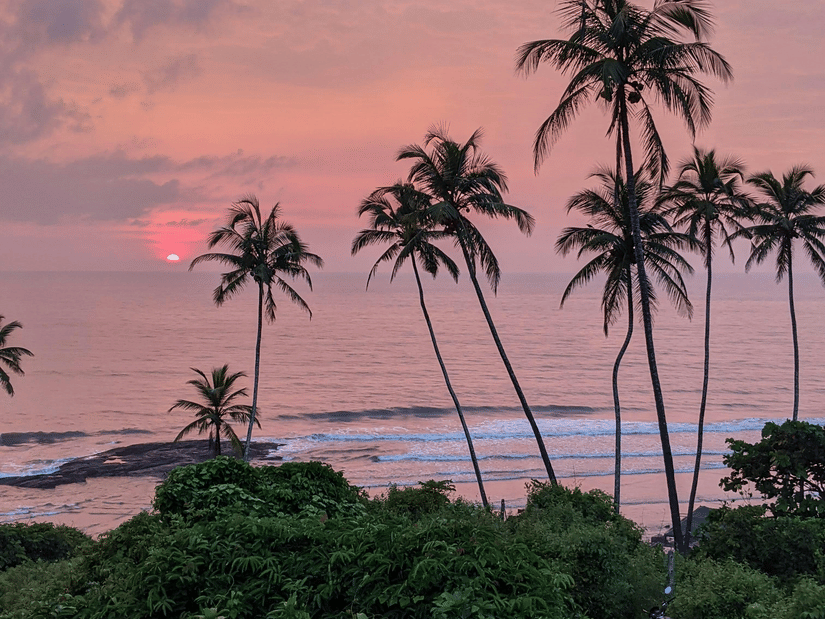 Sunset over lush greenery and tall palm trees by the coastline, casting a serene pink and purple sky over the ocean - Bengaluru to Goa Itinerary.