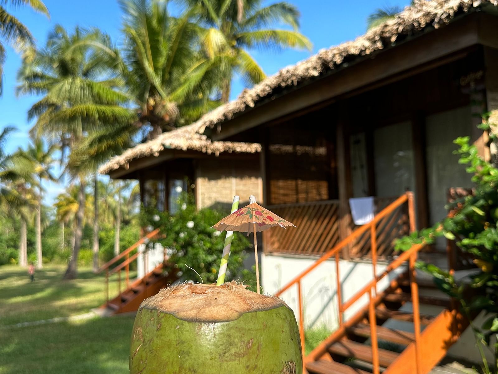 A hand holding a fresh green coconut in front of a thatched-roof bungalow, palm trees, and a clear blue sky.