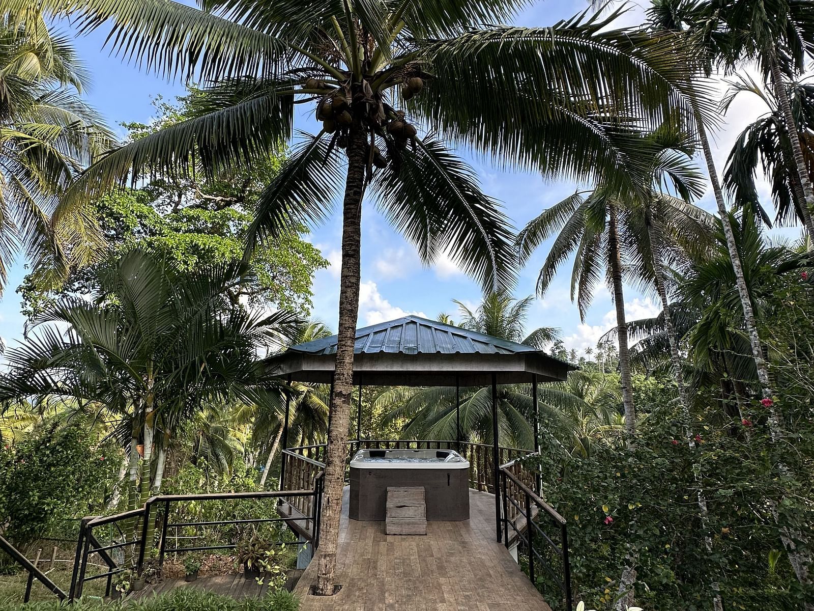 A large palm tree stands over a small wooden structure with a thatched roof, surrounded by green grass and other tropical foliage under a blue sky.
