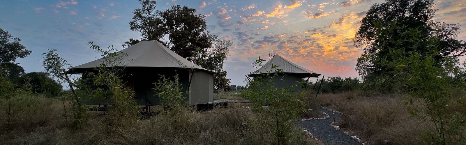 Facade view of the twin tents at Trees N Tigers, Tadoba.