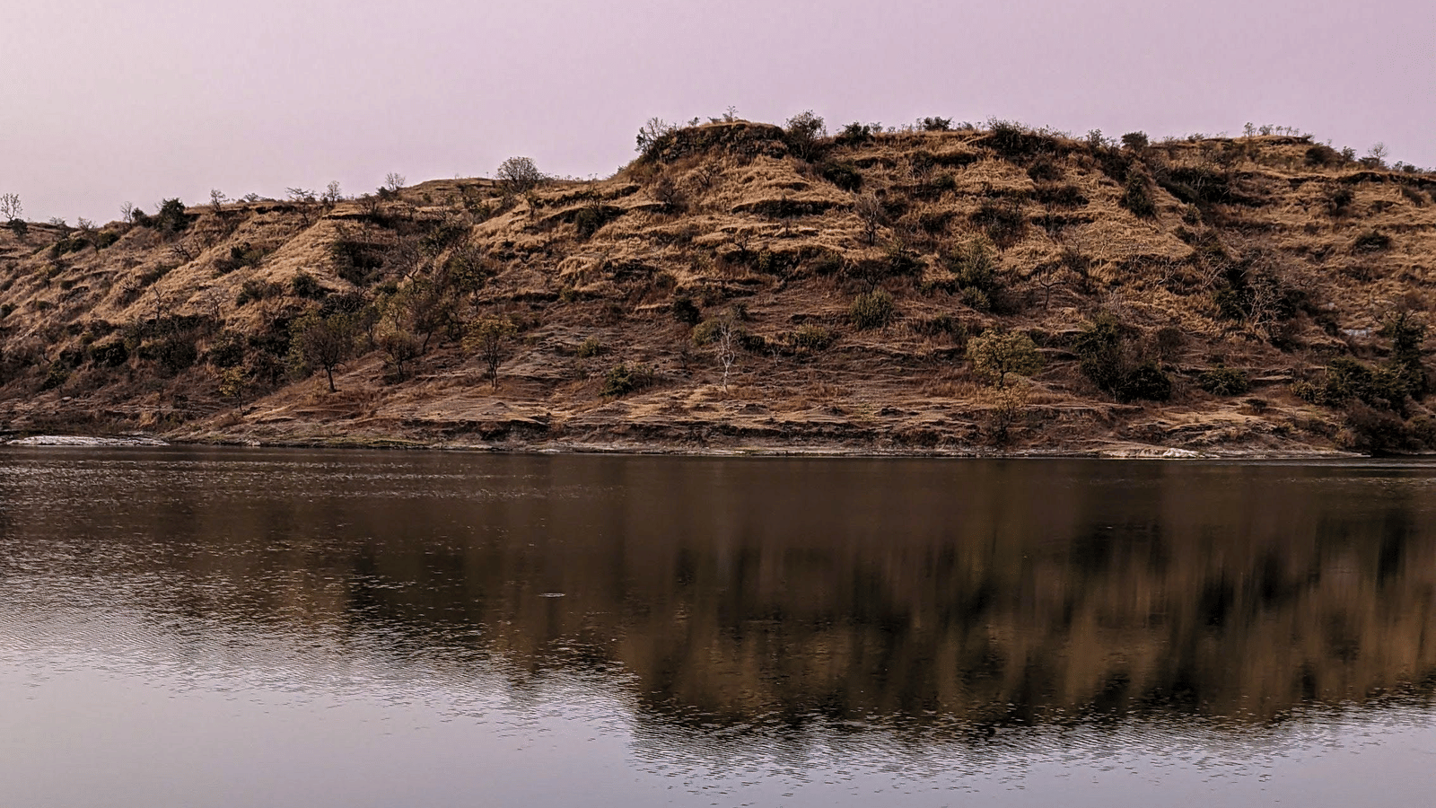 pexels-smitesh-parekh-3244931-11723880