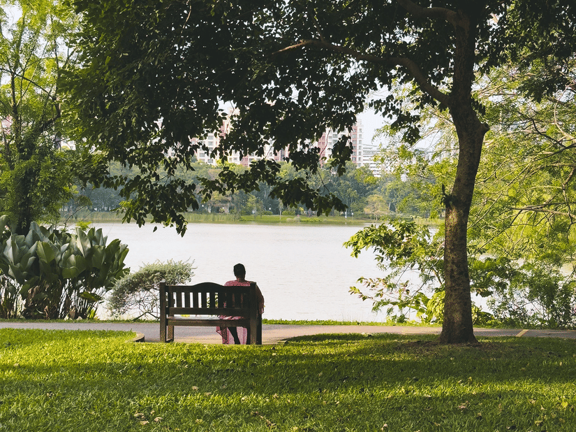 Wooden bench overlooking a calm lake framed by mature trees and expansive green lawns.
