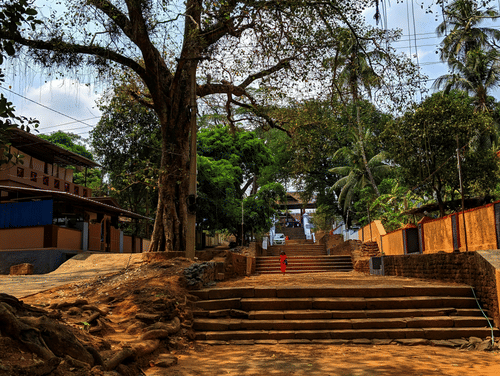 Stone steps leading up to a temple pathway, shaded by large tropical trees, with a quiet village setting and a person walking uphill under a clear sky.
