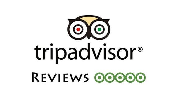 TRIPADVISOR-REVIEWS Option 1