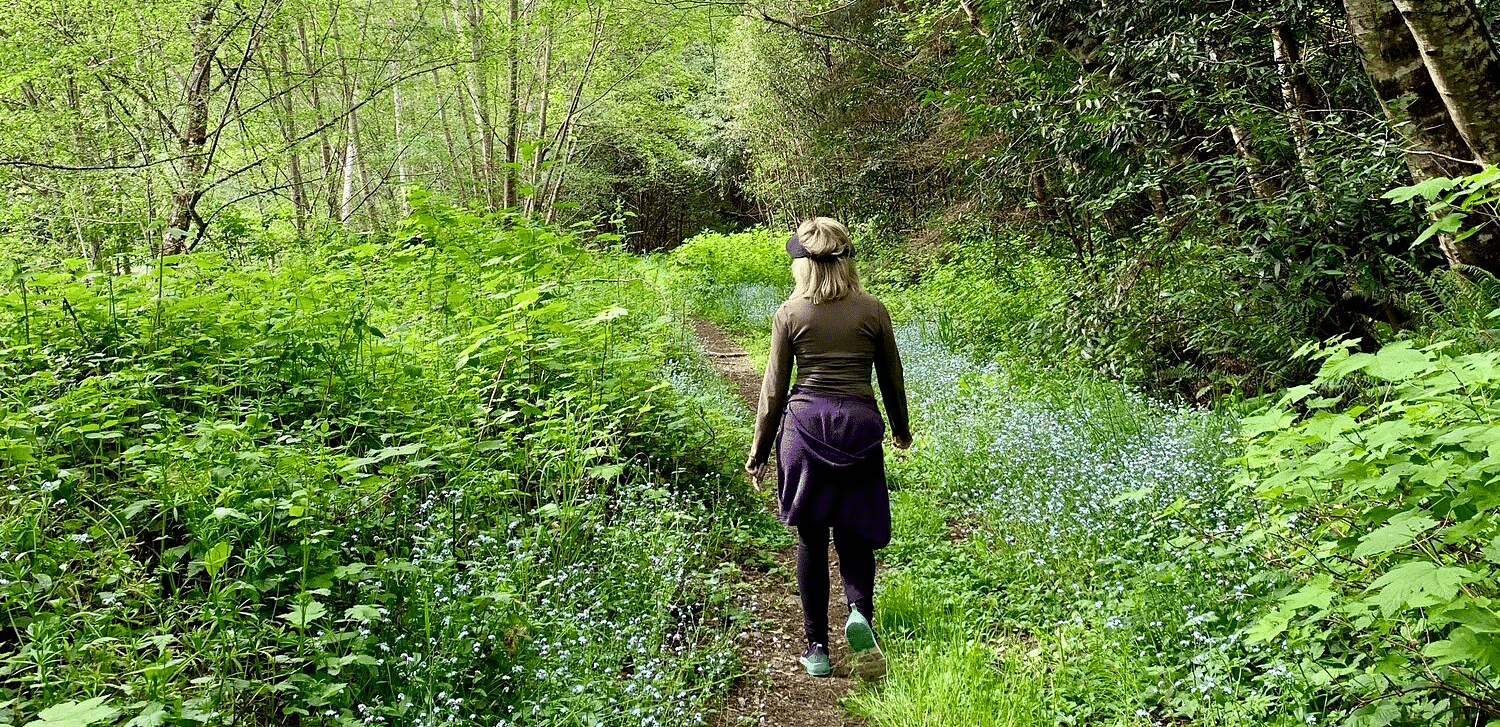 A person walking on a path covered with green bushes on either sides, along with trees