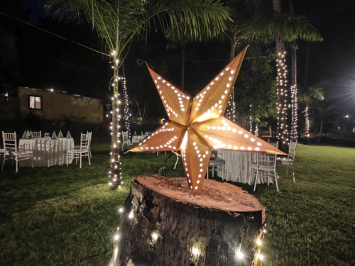 A festive outdoor setting at night, featuring a large, illuminated star decoration on a tree stump, surrounded by white-clothed tables and chairs and palm trees wrapped in string lights on a grassy lawn.