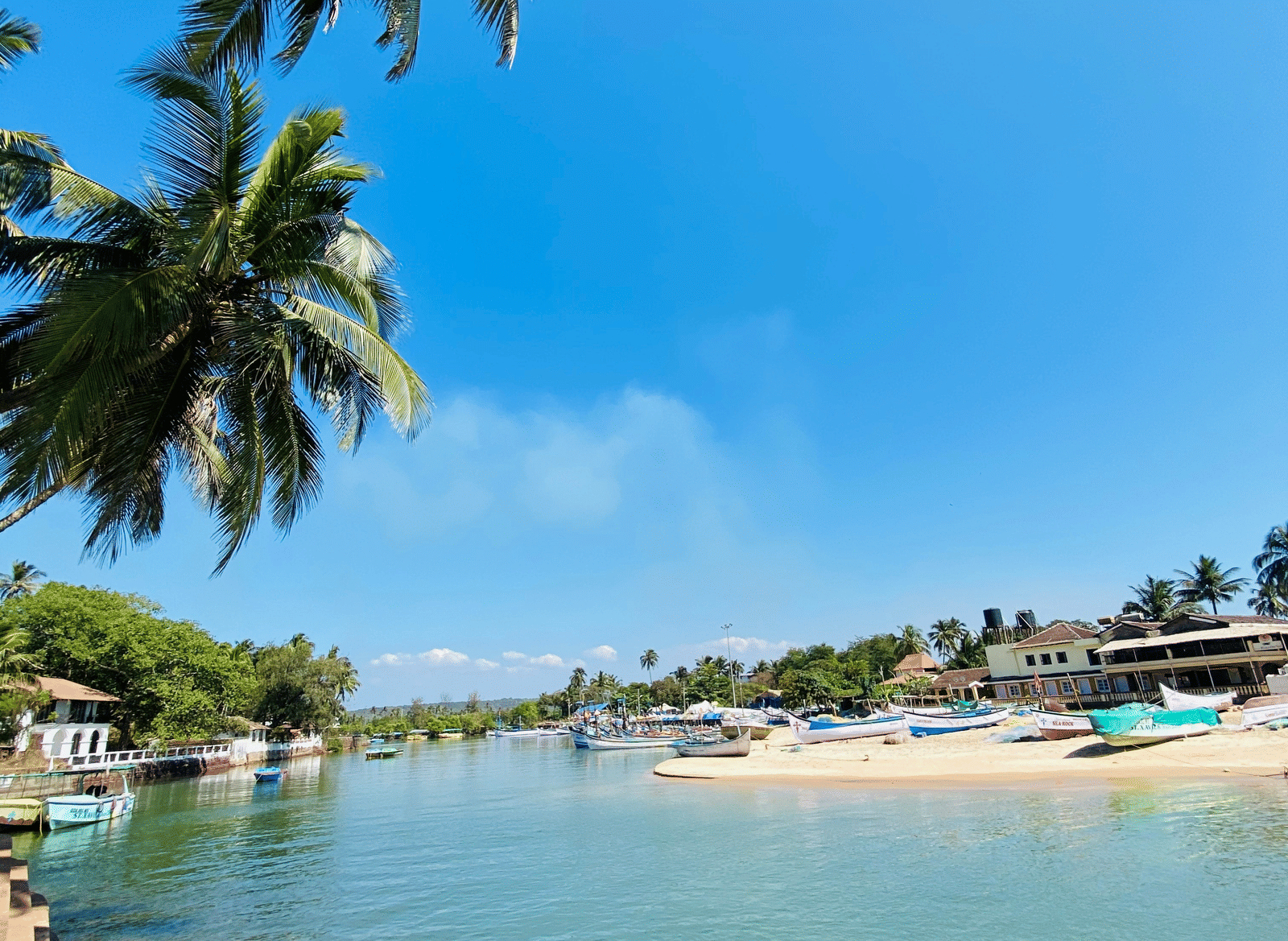 A coastal scene showcasing calm turquoise water in an inlet lined with boats and framed by palm tree foliage.