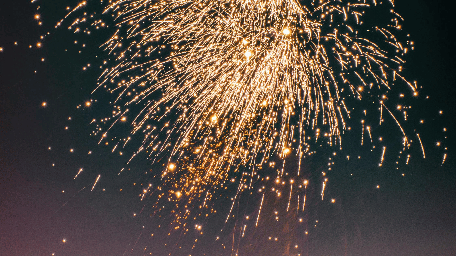 pexels-suvan-chowdhury-37305-1616228