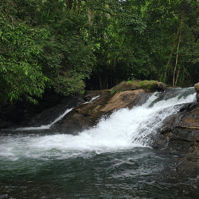 Waterfalls flowing over rocks beneath dense green foliage
