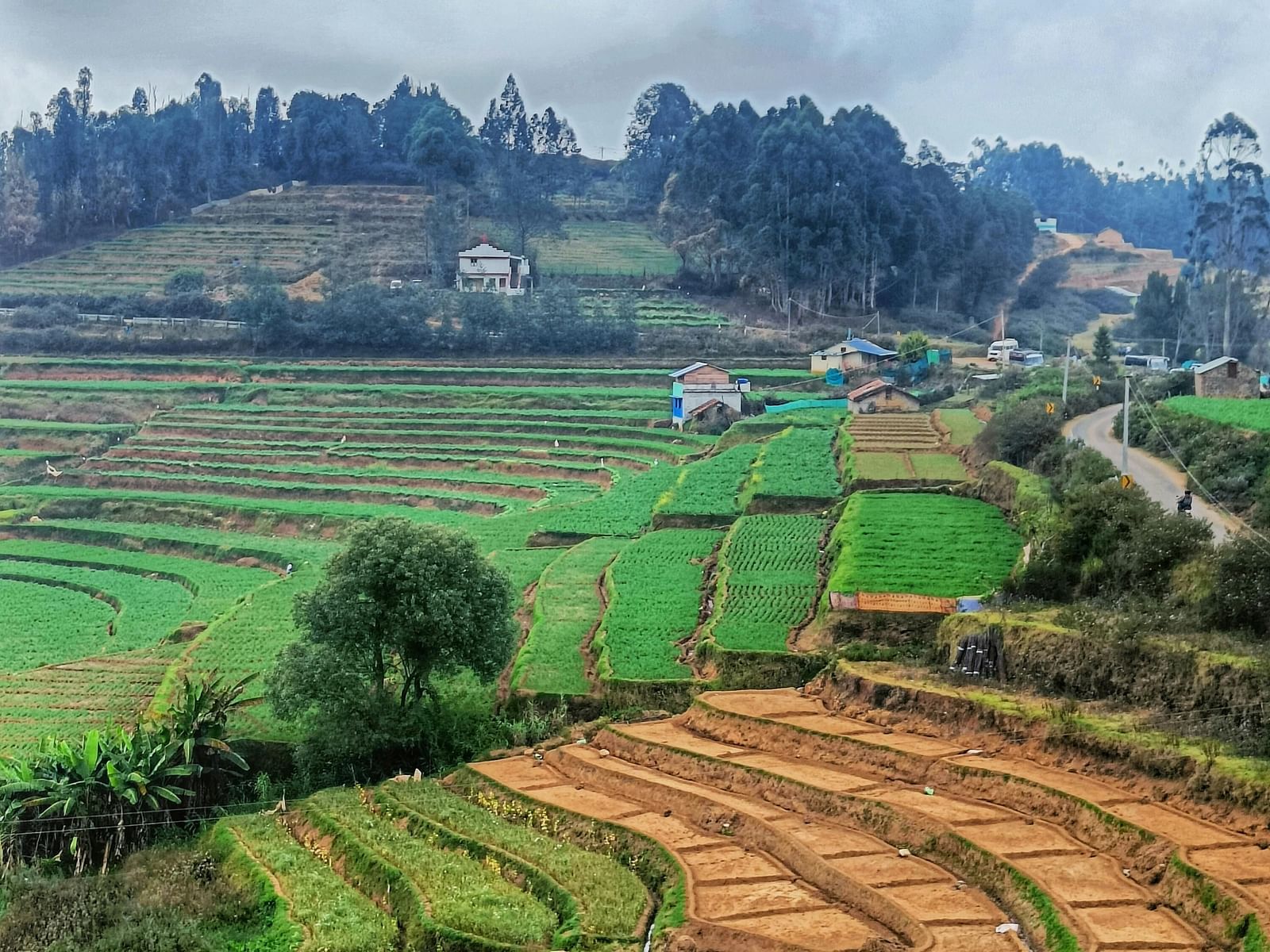 A landscape view shows terraced fields and greenery under a cloudy sky.