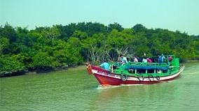 A ferry carrying people across a river surrounded by lush forests