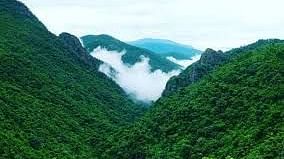View of mountains covered with lush greenery and low hanging clouds