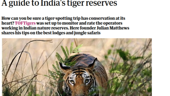 Snippet of an article which features a tiger in the grass and a paragraph which talks about a guide to India's tiger reserves.