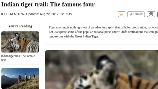 A snippet from a newspaper which talks about tiger spotting with a few pictures of the tiger.