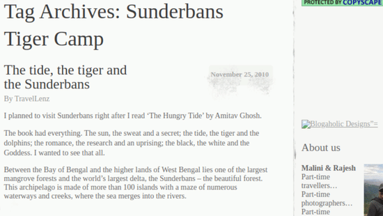 Snippet of a review left by a guest who stayed at Sunderban Tiger Camp, Dayapur