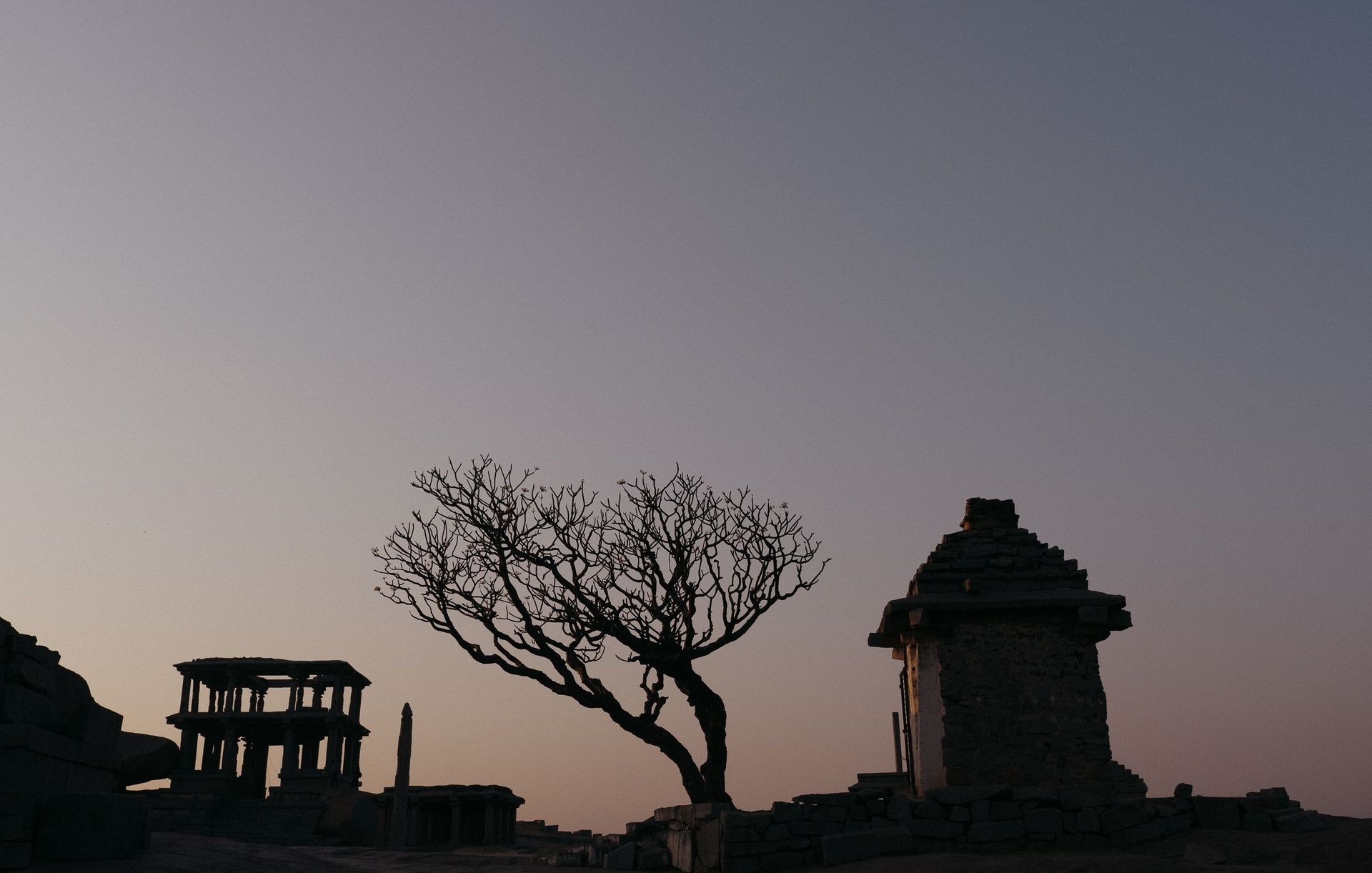 Hampi ruins and tree silhouetted against a dusky sky.