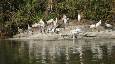 Ranganathithu-bird-sanctuary