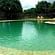 Tiger Camp Resort, Corbett Ramnagar Swimming Pool 1 Tiger Camp Resort Corbett